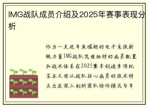 IMG战队成员介绍及2025年赛事表现分析