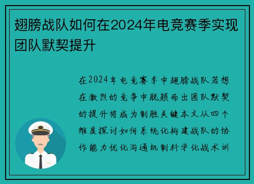 翅膀战队如何在2024年电竞赛季实现团队默契提升